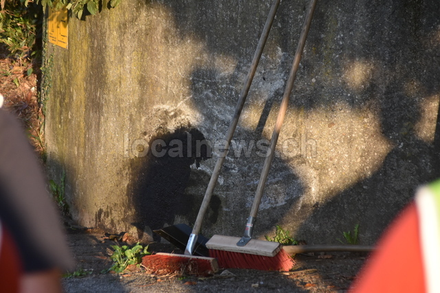 Dsc 0613