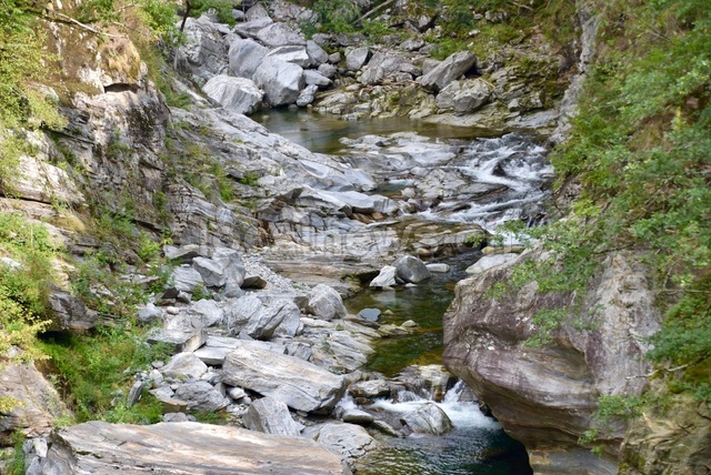 Dsc 0012