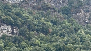 Img 6053