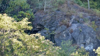Dsc 0011