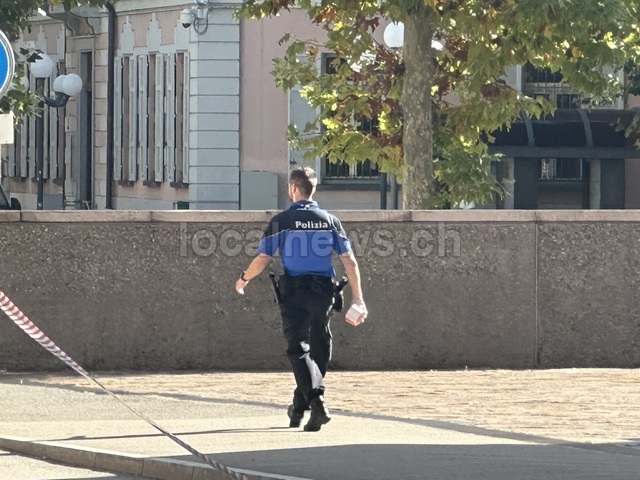 Img 3264