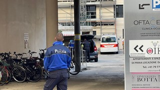 Img 4195