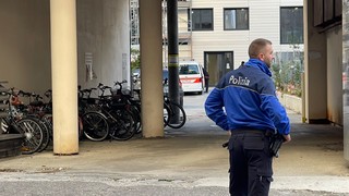 Img 4206